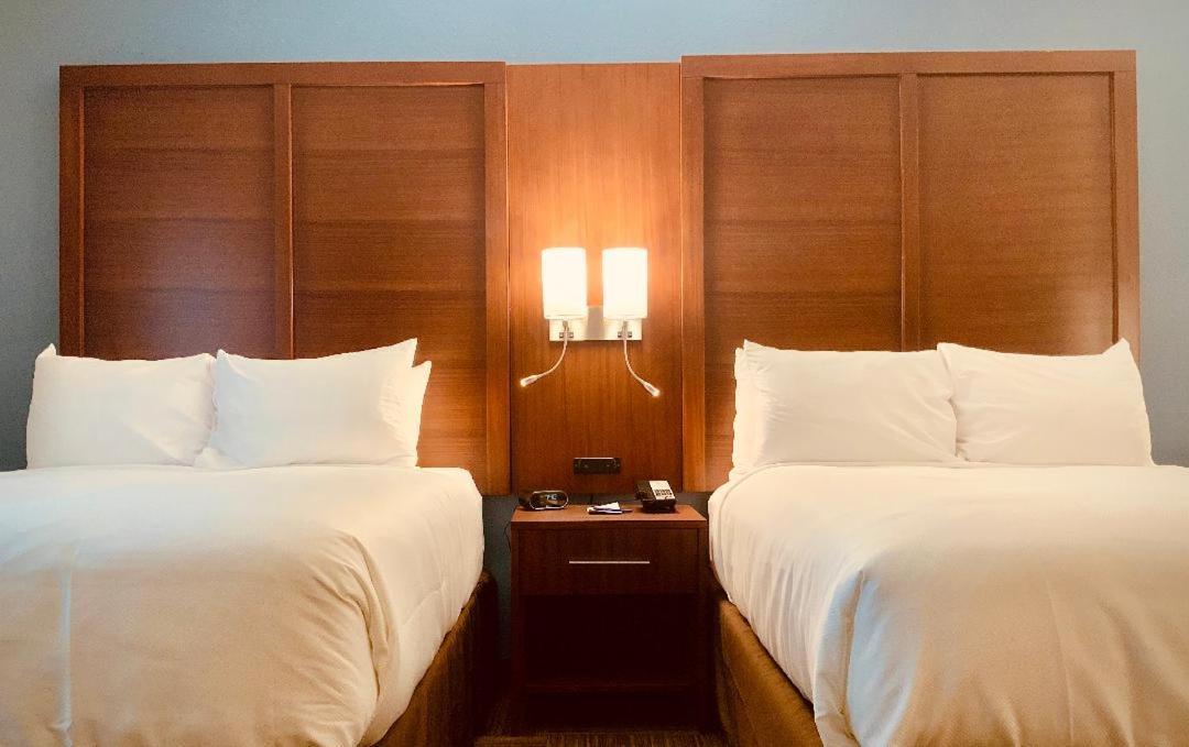סידר פארק Comfort Suites מראה חיצוני תמונה